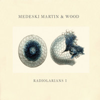 Medeski, Martin & Wood - Radiolarians 1