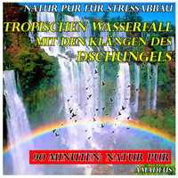 Amadeus - Natur pur für Stressabbau: tropischen Wasserfall mit den Klängen des Dschungels