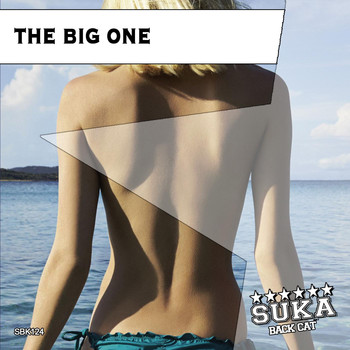 Various Artists - The Big One