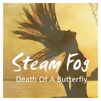Steam Fog - Death of a Butterfly (Original Mix)