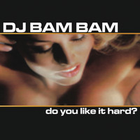 DJ Bam Bam - Do You Like It Hard? (Continuous DJ Mix by DJ Bam Bam)