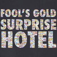 fool's gold - Surprise Hotel