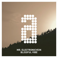Mr. Electronicvein - Blissful Vibe