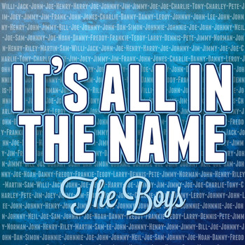 Various Artists - It's All in the Name - the Boys