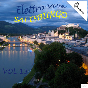 Various Artists - Elettro Vibe Salisburgo, Vol. 13