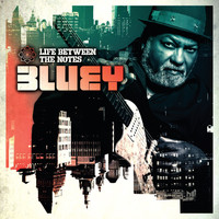 Bluey - Life Between the Notes