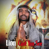Lion - Can't You See - Single