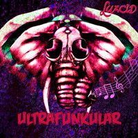 LUZCID - Ultrafunkular - Single