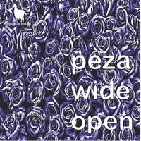 Peza - Wide Open (Original Mix)
