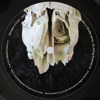 Domenico Crisci - Ceremony
