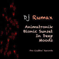 DJ Rumax - Animatronik