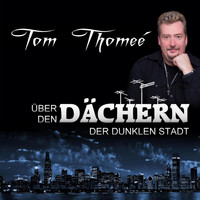 Tom Thomeé - Über den Dächern der dunklen Stadt