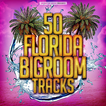 Various Artists - 50 Florida Bigroom Tracks