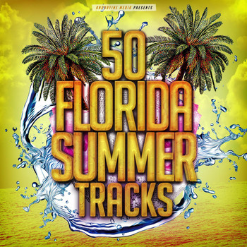 Various Artists - 50 Florida Summer Tracks