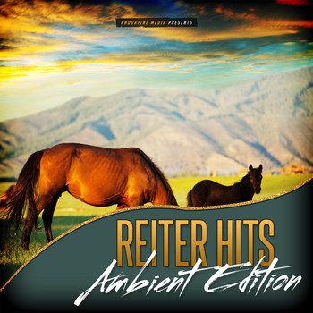 Various Artists - Reiter Hits - Ambient Edition