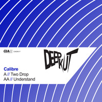 Calibre - Two Drop / Understand