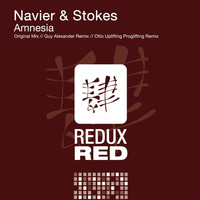 Navier & Stokes - Amnesia