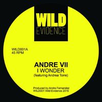 Andre VII - I Wonder