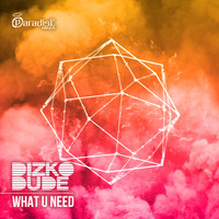 Dizkodude - What U Need