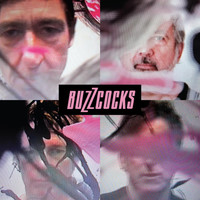 Buzzcocks - In the Back