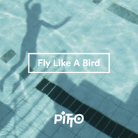 Pitto - Fly Like A Bird