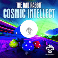 The Bad Rabbit - Cosmic Intellect