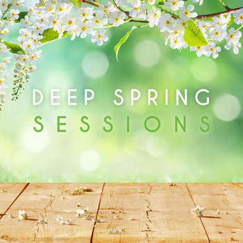 Various Artists - Deep Spring Sessions