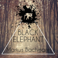 Markus Bachmann - Black Elephant