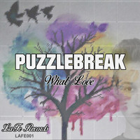 Puzzlebreak - What Love