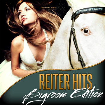 Various Artists - Reiter Hits - Bigroom Edition (Explicit)