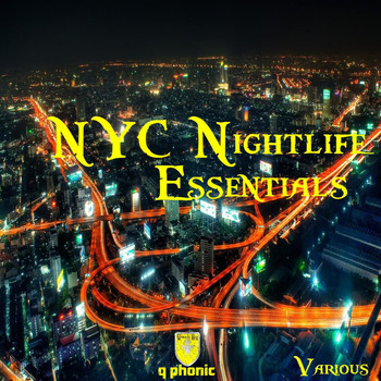 Various Artists - NYC Nightlife