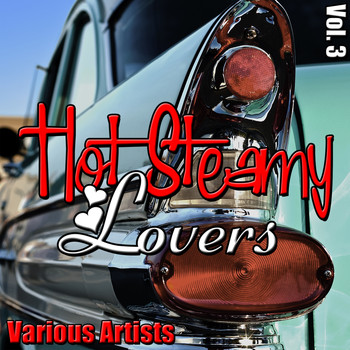 Various Artists - Hot Steamy Lovers, Vol. 3