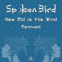 Spoken Bird - How Old is the Wind (Remixed)