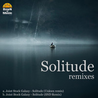 Joint Stock Galaxy - Solitude