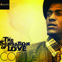 CORNELIUS - The Sensation of Love