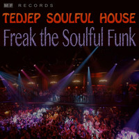Tedjep Soulful House - Freak the Soulful Funk