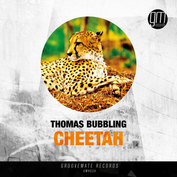 Thomas Bubbling - Cheetah