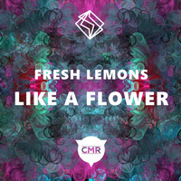 Fresh Lemons - Like A Flower