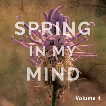 Various Artists - Spring in My Mind, Vol. 1 (Yoga & Meditation Chill out Tunes)