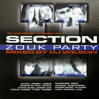 DJ Wilson - Section Zouk Party