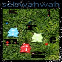 Sebwahwah - Grunge