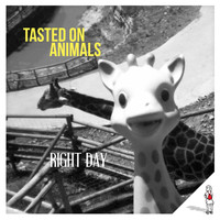 Tasted on Animals - Right Day