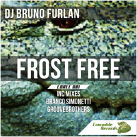 DJ Bruno Furlan - Frost Free