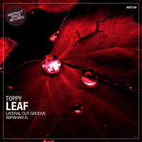 Toppy - Leaf