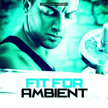 Various Artists - Fit for Ambient