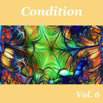 Various Artists - Condition, Vol. 6