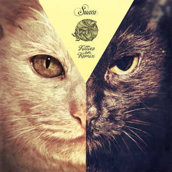 Various Artists - Kitties on Remix