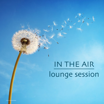 Various Artists - In the Air Lounge Session