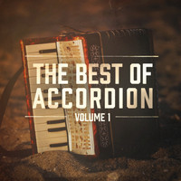 Cafe Accordion Orchestra - The Best of Accordion, Vol. 1