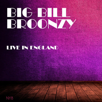 Big Bill Broonzy - Live in England